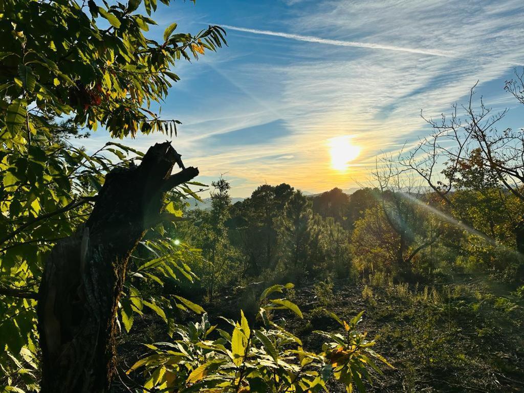 Les Hauts du Marquet - Gîte 4* grande capacité en Cévennes  Saint Jean du Pin Extérieur photo